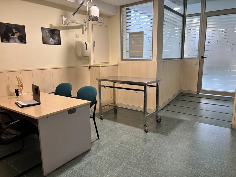 Consulta Felina (Detalle)